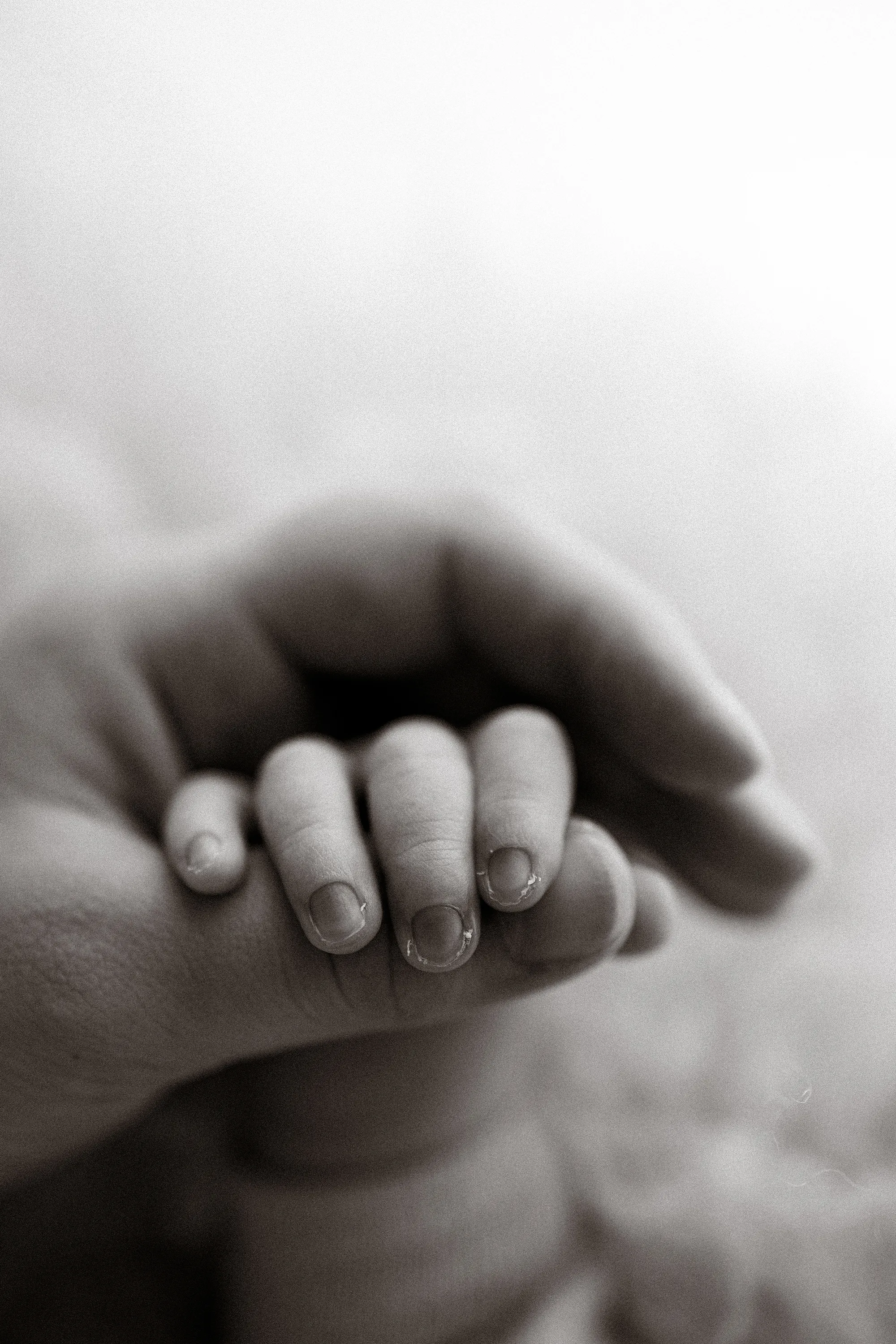 Black and white close-up of a newborn's tiny hand holding a parent's finger