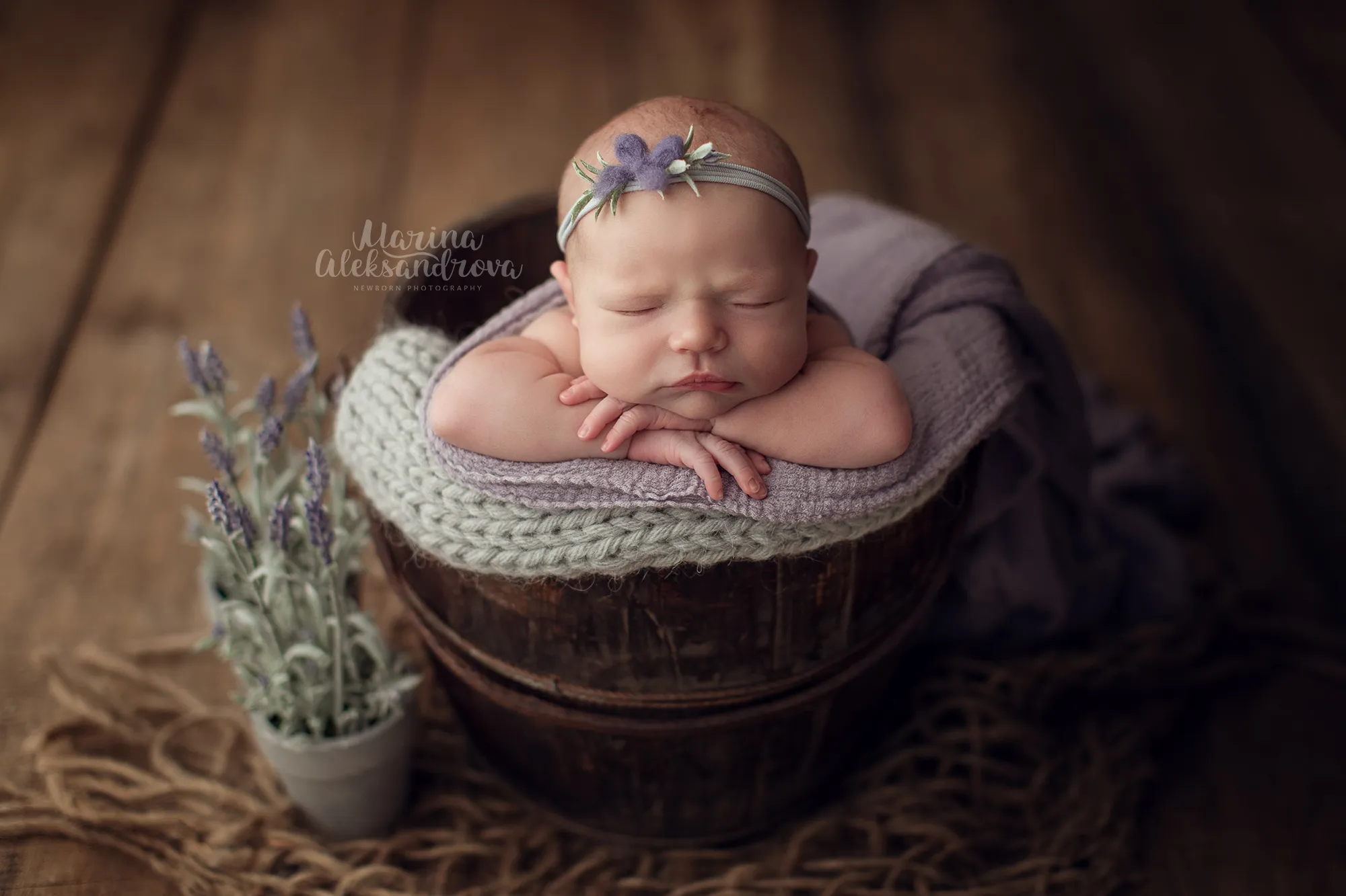 Newborn with a lilac headband resting in a knitted bowl beside potted lavender